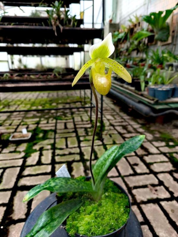 #* Подборка интересных новостей из регионов к этому часу: #* Подборка интересных новостей из регионов к этому часу: