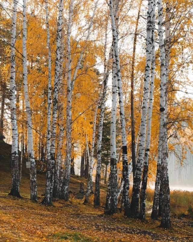 #Полезно_знать. Доброго утра, прекрасного дня! Рассвет на озере Таватуй в Свердловской области самое красивое и наиболее чистое в окрестностях города Екатеринбурга. Не зря его часто называют жемчужиной Среднего Урала, а на... #Полезно_знать. Доброго утра, прекрасного дня! Рассвет на озере Таватуй в Свердловской области самое красивое и наиболее чистое в окрестностях города Екатеринбурга. Не зря его часто называют жемчужиной Среднего Урала, а на...