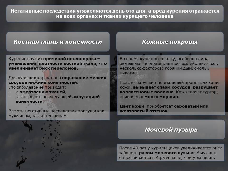 Практически большая часть человечества курит: одни – по каким-то собственным убеждениям, другие следуют моде, третьи кому-то подражают… Практически большая часть человечества курит: одни – по каким-то собственным убеждениям, другие следуют моде, третьи кому-то подражают…