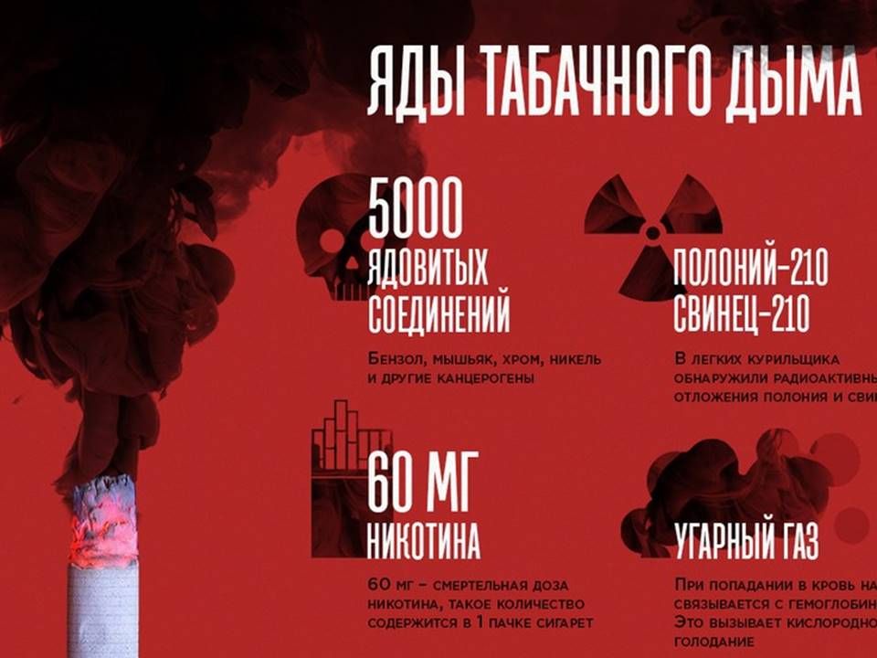 Практически большая часть человечества курит: одни – по каким-то собственным убеждениям, другие следуют моде, третьи кому-то подражают… Практически большая часть человечества курит: одни – по каким-то собственным убеждениям, другие следуют моде, третьи кому-то подражают…