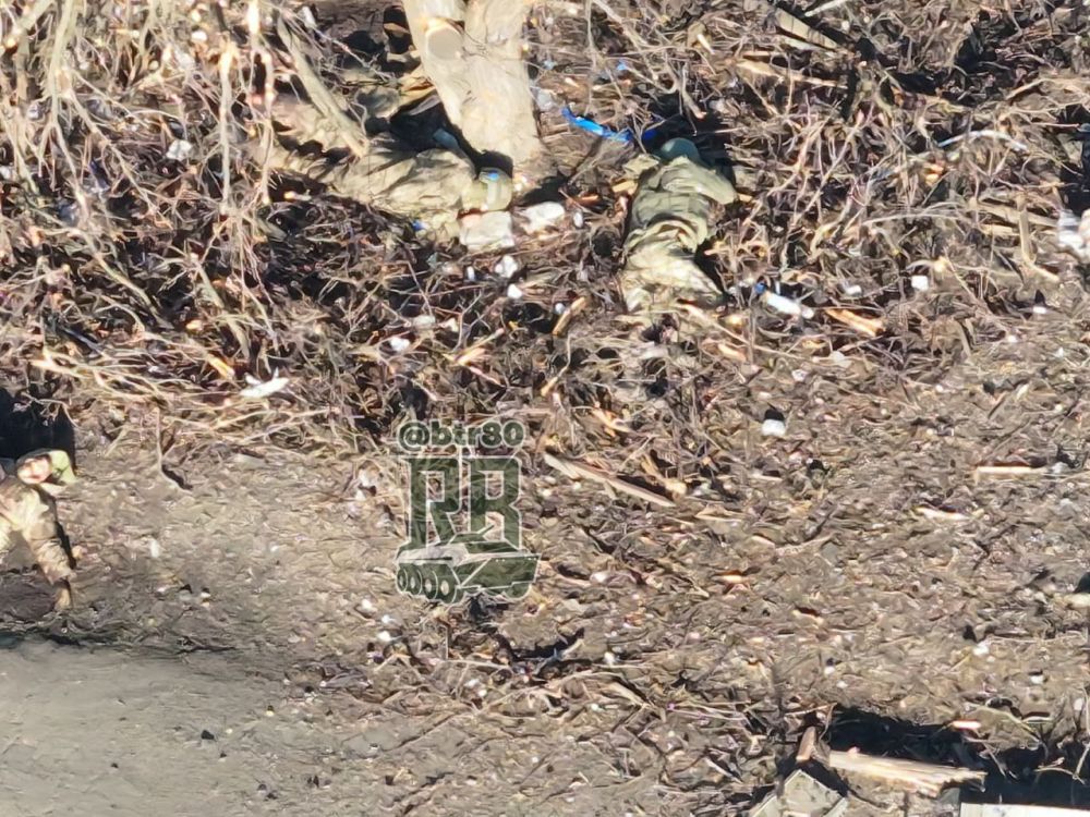 Боевики 425 ошп "Скала" снова угодили в мясорубку Боевики 425 ошп "Скала" снова угодили в мясорубку