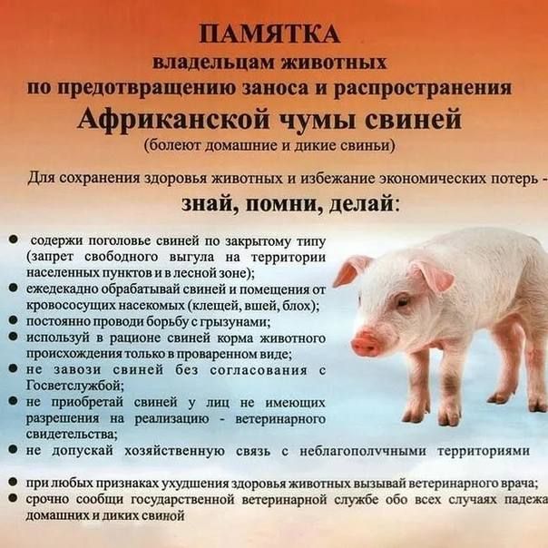 Михаил Меренков: Уважаемые владельцы животных, личных подсобных и крестьянско-фермерских хозяйств! Михаил Меренков: Уважаемые владельцы животных, личных подсобных и крестьянско-фермерских хозяйств!