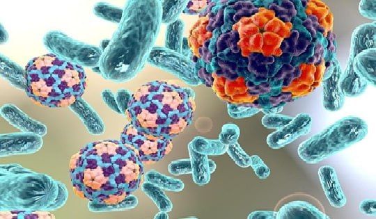 Топ самых распространенных инфекционных заболеваний Топ самых распространенных инфекционных заболеваний