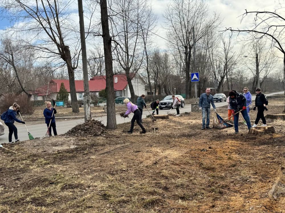 Субботник в Пролетарском районе Субботник в Пролетарском районе