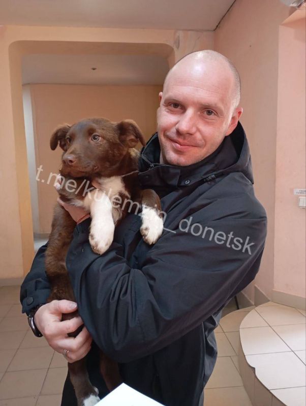 «Теперь пушистых бродяг ждет новая жизнь»: В Донецке за неделю отловили с улиц более 100 бездомных собак «Теперь пушистых бродяг ждет новая жизнь»: В Донецке за неделю отловили с улиц более 100 бездомных собак