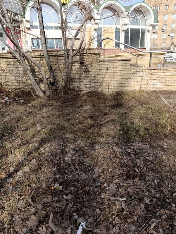 Сегодня, во всех уголках Ленинского района города Донецка проводятся массовые субботники Сегодня, во всех уголках Ленинского района города Донецка проводятся массовые субботники