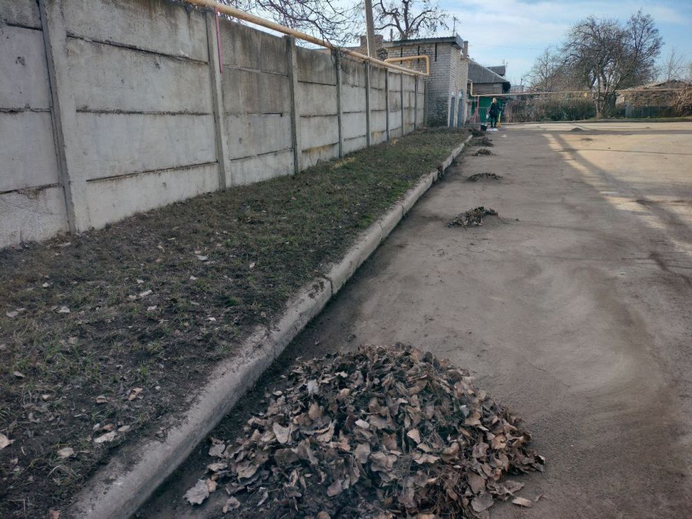 Субботник "Чистый город" в рамках проекта ГосСтарт "Доброслужащий" Субботник "Чистый город" в рамках проекта ГосСтарт "Доброслужащий"