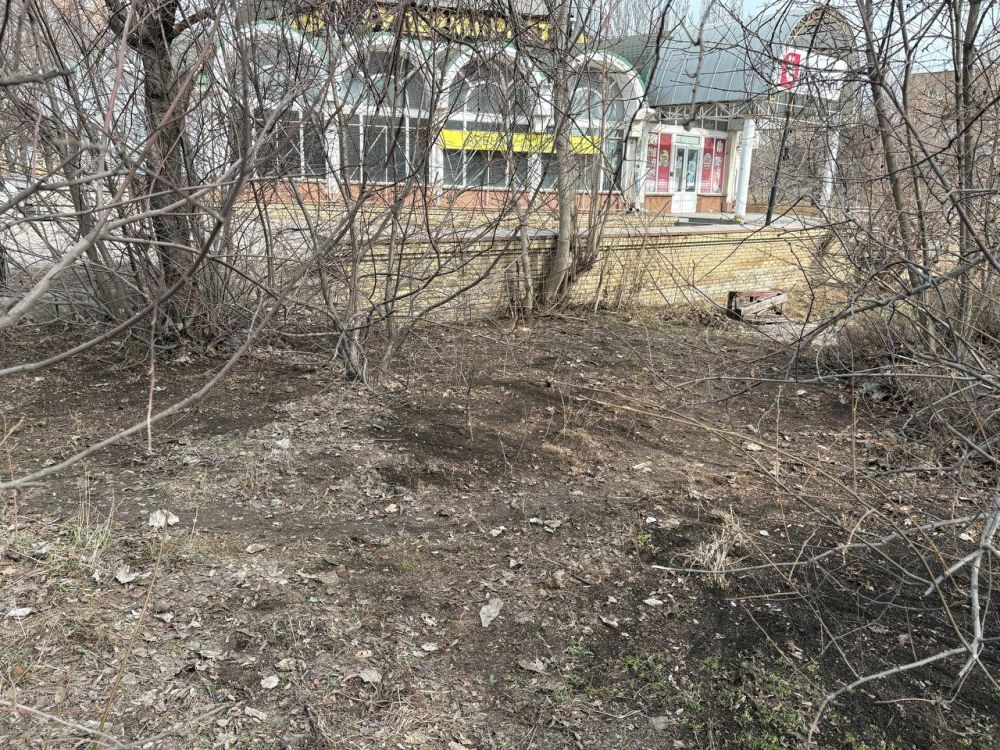 Сегодня, во всех уголках Ленинского района города Донецка проводятся массовые субботники Сегодня, во всех уголках Ленинского района города Донецка проводятся массовые субботники