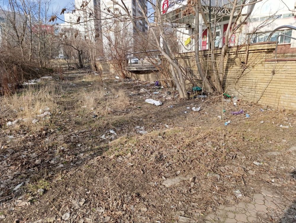 Сегодня, во всех уголках Ленинского района города Донецка проводятся массовые субботники Сегодня, во всех уголках Ленинского района города Донецка проводятся массовые субботники