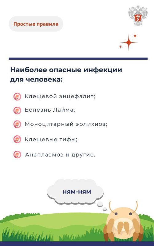 #ПростыеПравила: Укус клеща и его последствия #ПростыеПравила: Укус клеща и его последствия