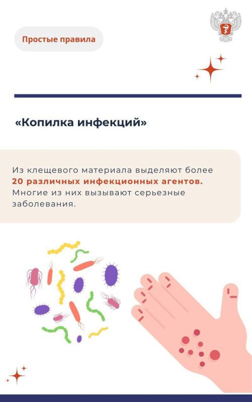 #ПростыеПравила: Укус клеща и его последствия #ПростыеПравила: Укус клеща и его последствия