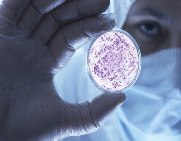 Топ самых распространенных инфекционных заболеваний Топ самых распространенных инфекционных заболеваний