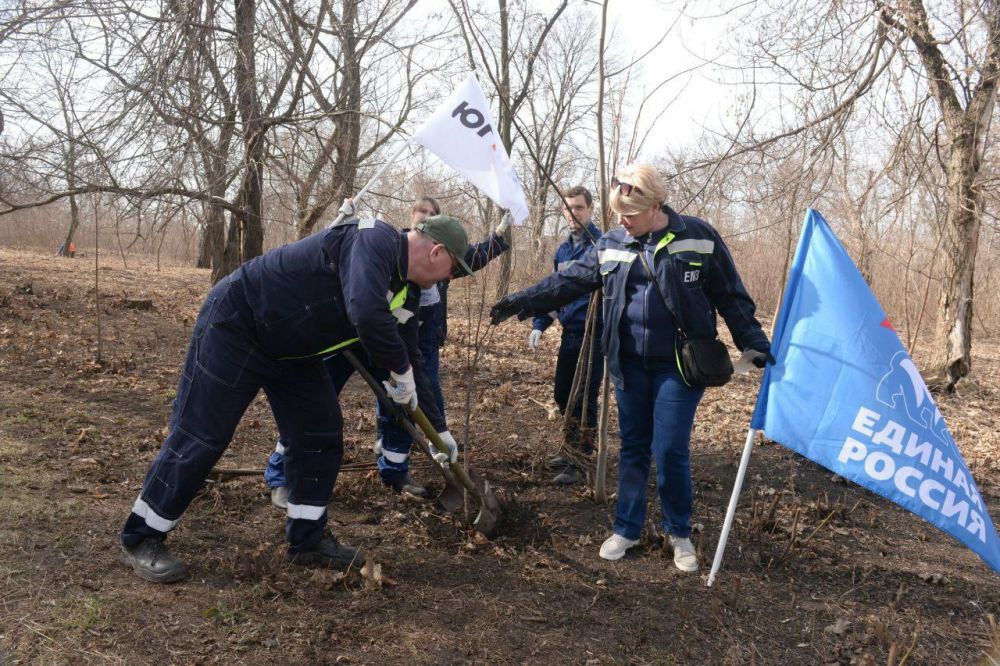 Представители Енакиевского металлургического завода под эгидой партии «Единая Россия» проекта «Чистая страна» приняли участие в акции по посадке деревьев Представители Енакиевского металлургического завода под эгидой партии «Единая Россия» проекта «Чистая страна» приняли участие в акции по посадке деревьев