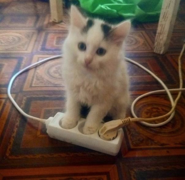  : ,  , ,      ,   