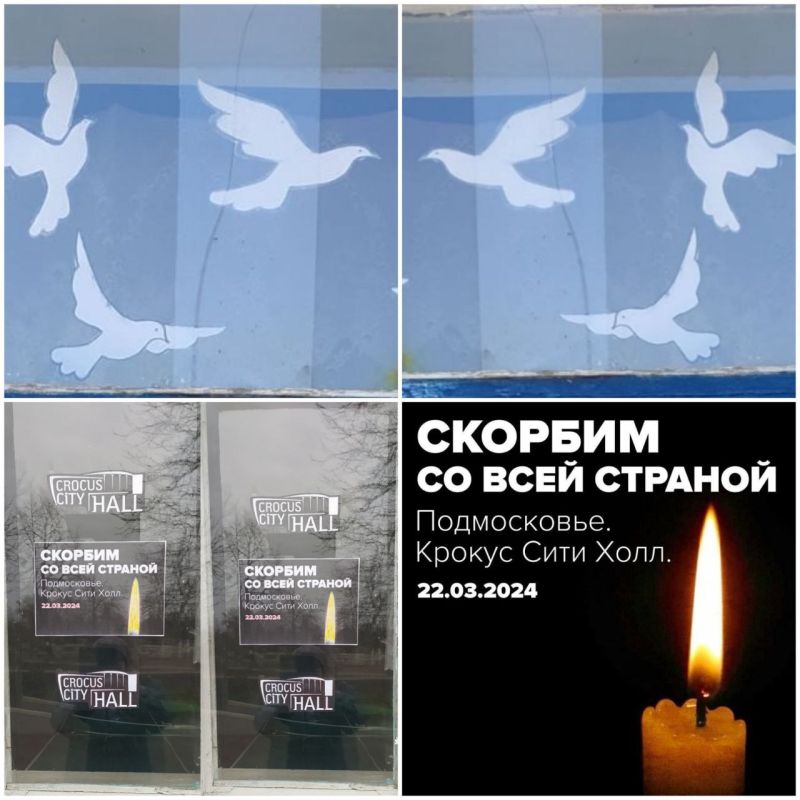           ,     22.03.2024  8  ,       ,    145   551...