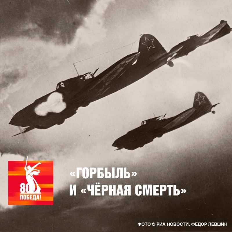 Советский Ил-2, любимый пехотой за поддержку с воздуха, стал «Горбылём» за характерный корпус Советский Ил-2, любимый пехотой за поддержку с воздуха, стал «Горбылём» за характерный корпус