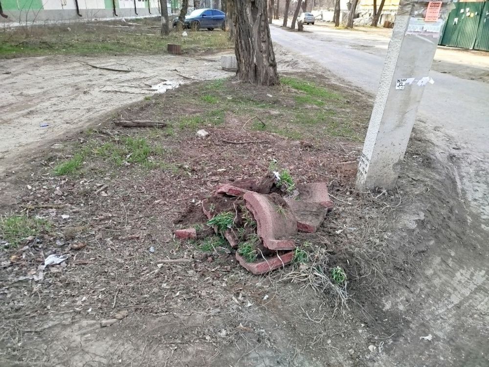 Аллею 221-й стрелковой дивизии попытались сделать снова пешеходной Аллею 221-й стрелковой дивизии попытались сделать снова пешеходной