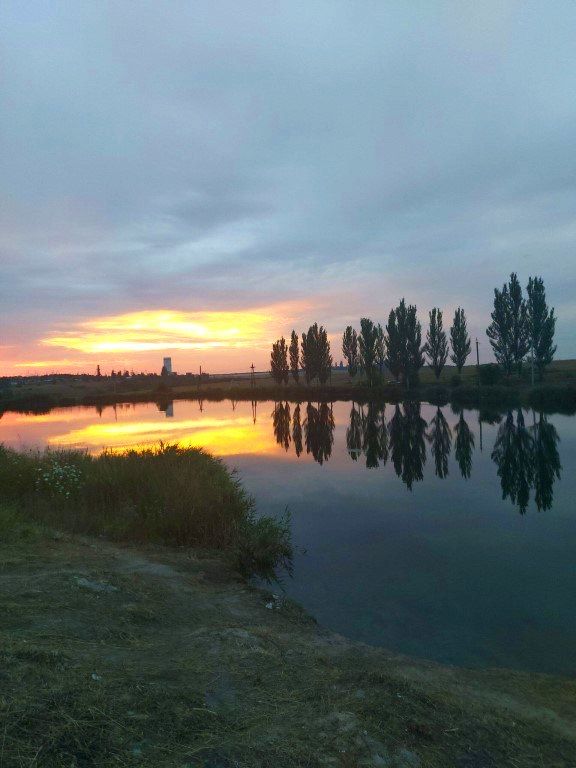 Доброе солнечное утро! Доброе солнечное утро!