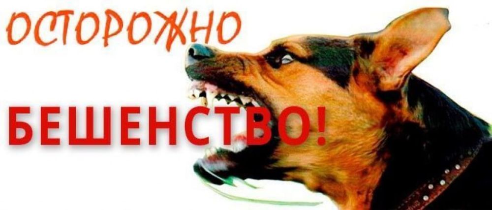  :       ,     ,   