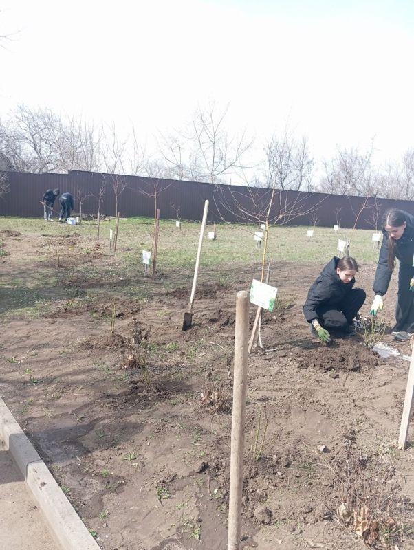 Николай Михайлов: В Старобешевской школе №1 состоялась высадка роз в школьном саду Николай Михайлов: В Старобешевской школе №1 состоялась высадка роз в школьном саду