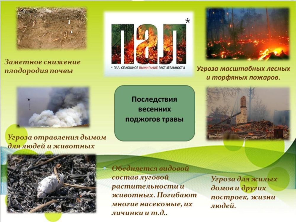 Весенние поджоги травы: к чему они могут привести? Весенние поджоги травы: к чему они могут привести?