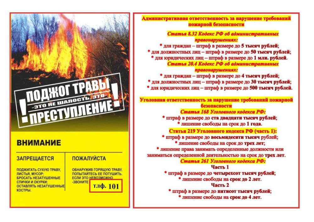 Весенние поджоги травы: к чему они могут привести? Весенние поджоги травы: к чему они могут привести?