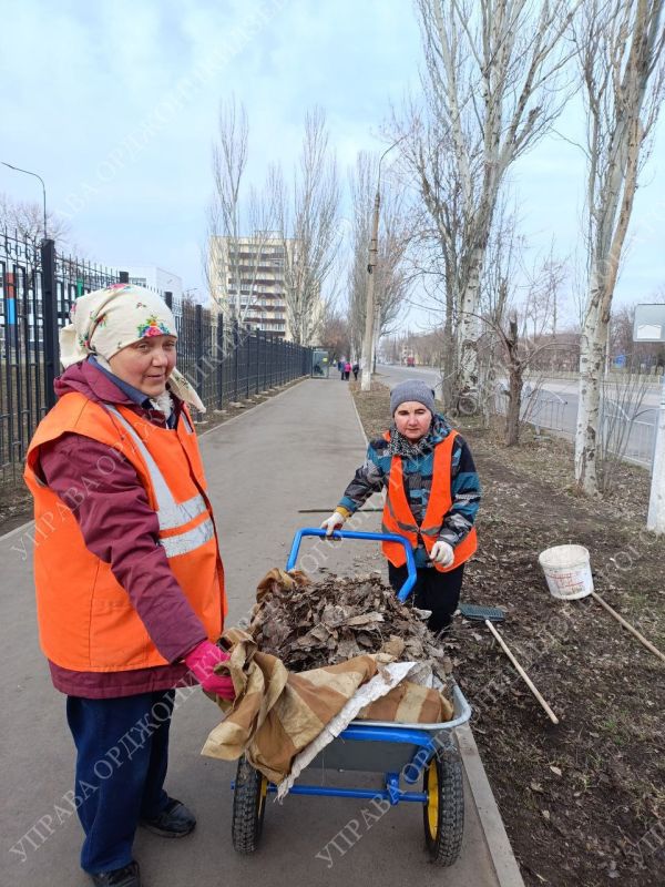 Сегодня сотрудники Управы Орджоникидзевского внутригородского района приняли участие в еженедельном общегородском субботнике Сегодня сотрудники Управы Орджоникидзевского внутригородского района приняли участие в еженедельном общегородском субботнике