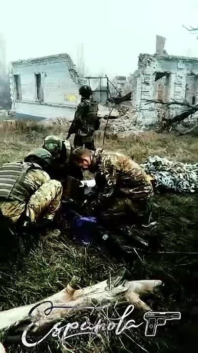  :  &quot; &quot;: