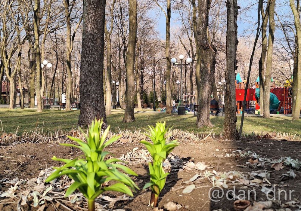 Один из лучших на планете! Донецкий парк Щербакова ждет друзей Один из лучших на планете! Донецкий парк Щербакова ждет друзей