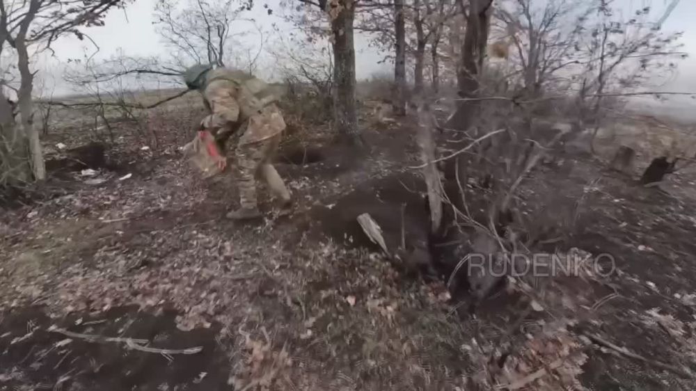  :             