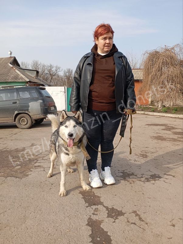 Алексей Кулемзин: В то время как в СМИ и в социальных сетях продолжается эмоциональная дискуссия на тему «как поступать с бездомными животными и стоит ли наказывать людей, которые подкармливают и опекают уличных «хвостиков»... Алексей Кулемзин: В то время как в СМИ и в социальных сетях продолжается эмоциональная дискуссия на тему «как поступать с бездомными животными и стоит ли наказывать людей, которые подкармливают и опекают уличных «хвостиков»...