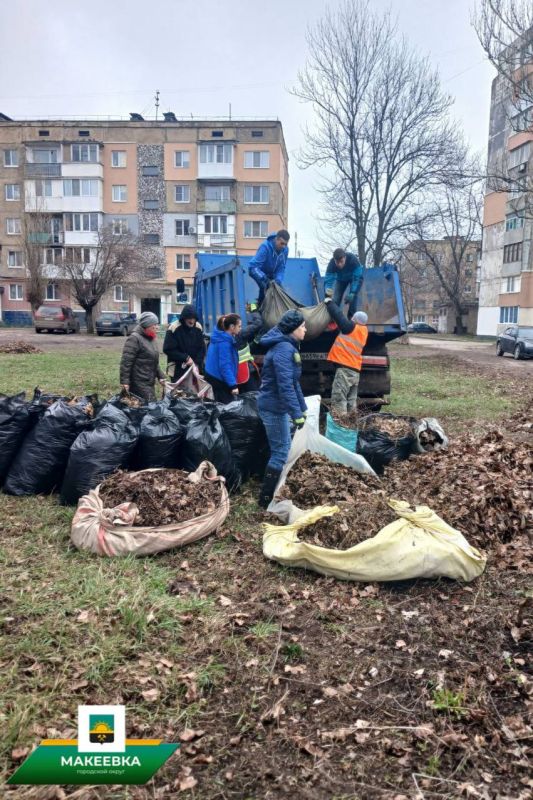 В Центрально-Городском районе состоялся субботник В Центрально-Городском районе состоялся субботник
