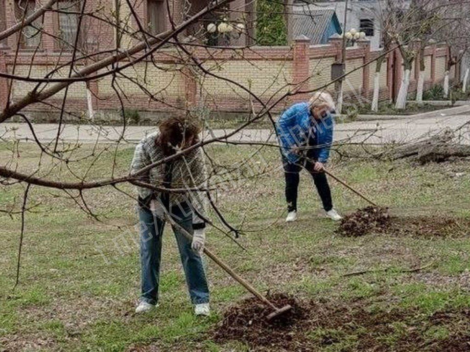 Алексей Кулемзин: Сотрудники учреждений спорта присоединились к общегородскому субботнику, продолжив работы по благоустройству прилегающих территорий: они высадили кустарники, убрали листву и мусор, а также очистили газоны и... Алексей Кулемзин: Сотрудники учреждений спорта присоединились к общегородскому субботнику, продолжив работы по благоустройству прилегающих территорий: они высадили кустарники, убрали листву и мусор, а также очистили газоны и...
