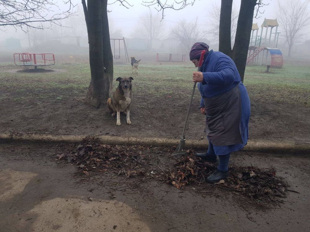 В Ленинском районе г. Донецка активно проходят субботники В Ленинском районе г. Донецка активно проходят субботники