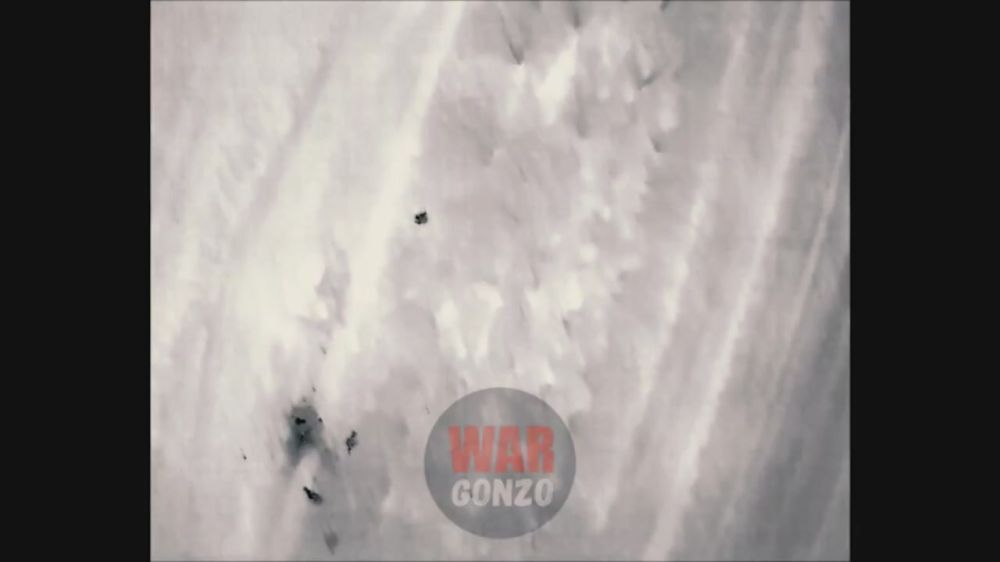 WarGonzo:       