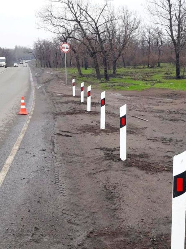 #свод_за_сутки #летнее_содержание #свод_за_сутки #летнее_содержание