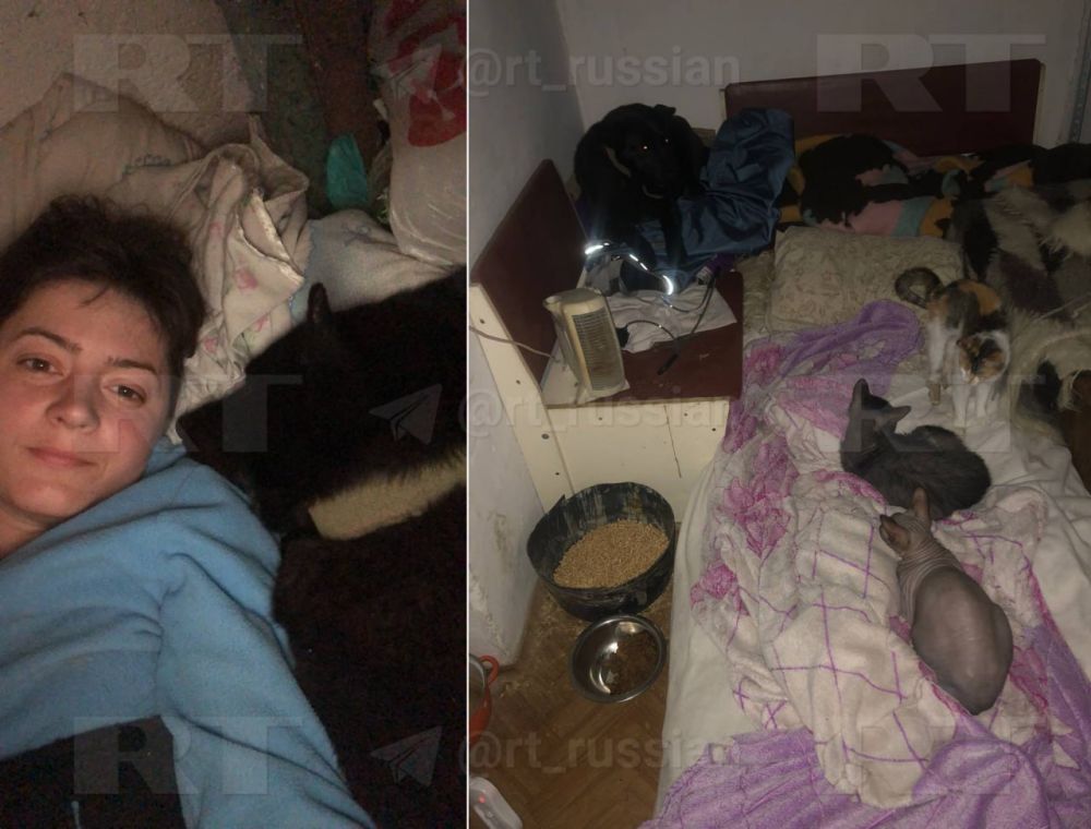 Ветеринар из Мариуполя с начала СВО спасла около сотни животных, пострадавших от ударов ВСУ, десятки питомцев вернула хозяевам Ветеринар из Мариуполя с начала СВО спасла около сотни животных, пострадавших от ударов ВСУ, десятки питомцев вернула хозяевам