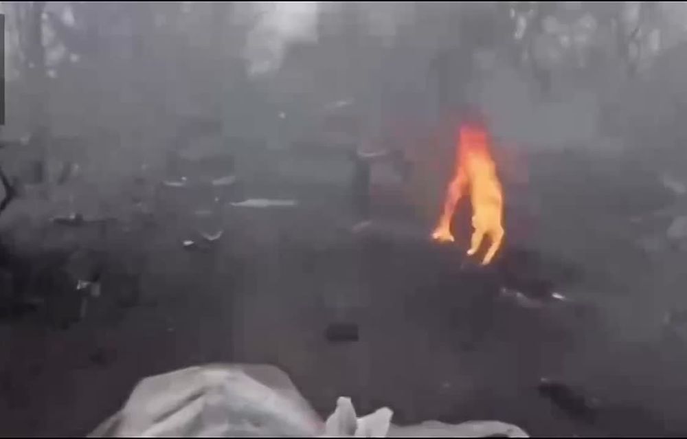  :     