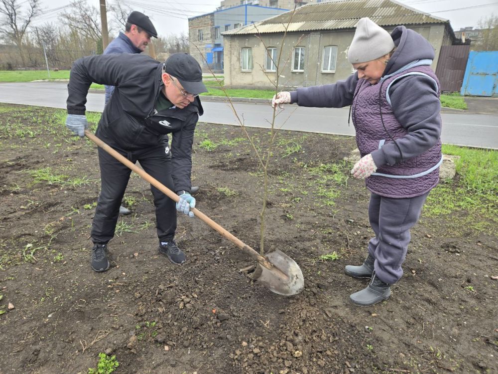 Сегодня, в рамках месячника «Зеленый Донбасс» к 80-летию Великой Победы в городе Дебальцево высадили деревья, кустарники и цветы Сегодня, в рамках месячника «Зеленый Донбасс» к 80-летию Великой Победы в городе Дебальцево высадили деревья, кустарники и цветы