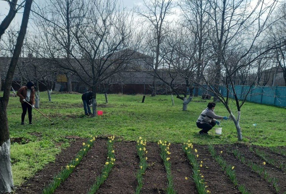 Месячник благоустройства и озеленения «Зеленый Донбасс» набирает обороты Месячник благоустройства и озеленения «Зеленый Донбасс» набирает обороты