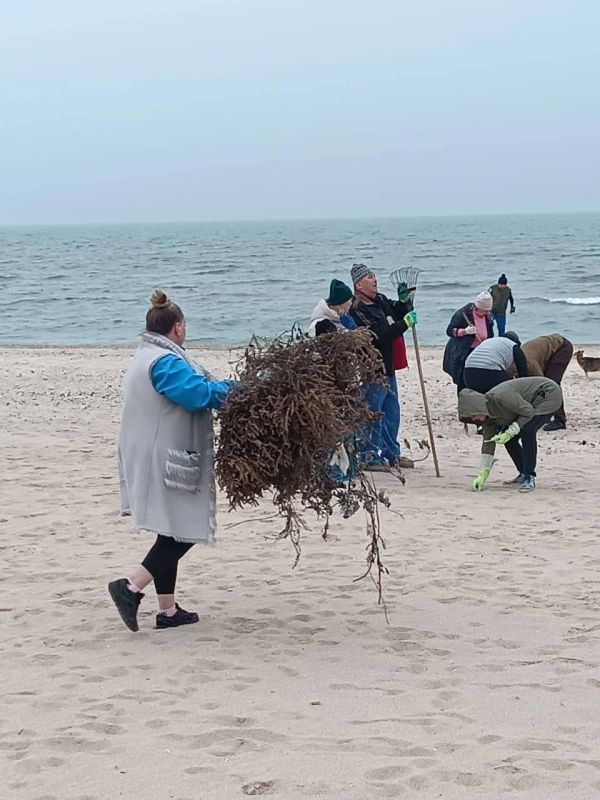 Полтора километра побережья очистили от мусора в курортном селе Урзуф Полтора километра побережья очистили от мусора в курортном селе Урзуф