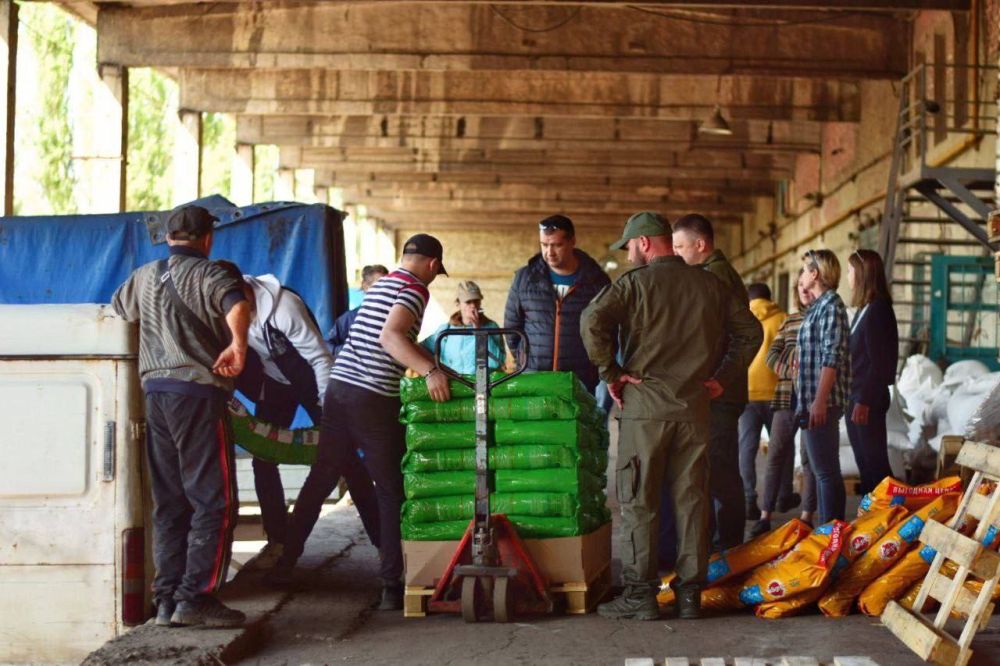 «ЗооДруг» отправил защитные амуниции для 11 служебных собак, которые помогают военнослужащим в Херсонской области «ЗооДруг» отправил защитные амуниции для 11 служебных собак, которые помогают военнослужащим в Херсонской области