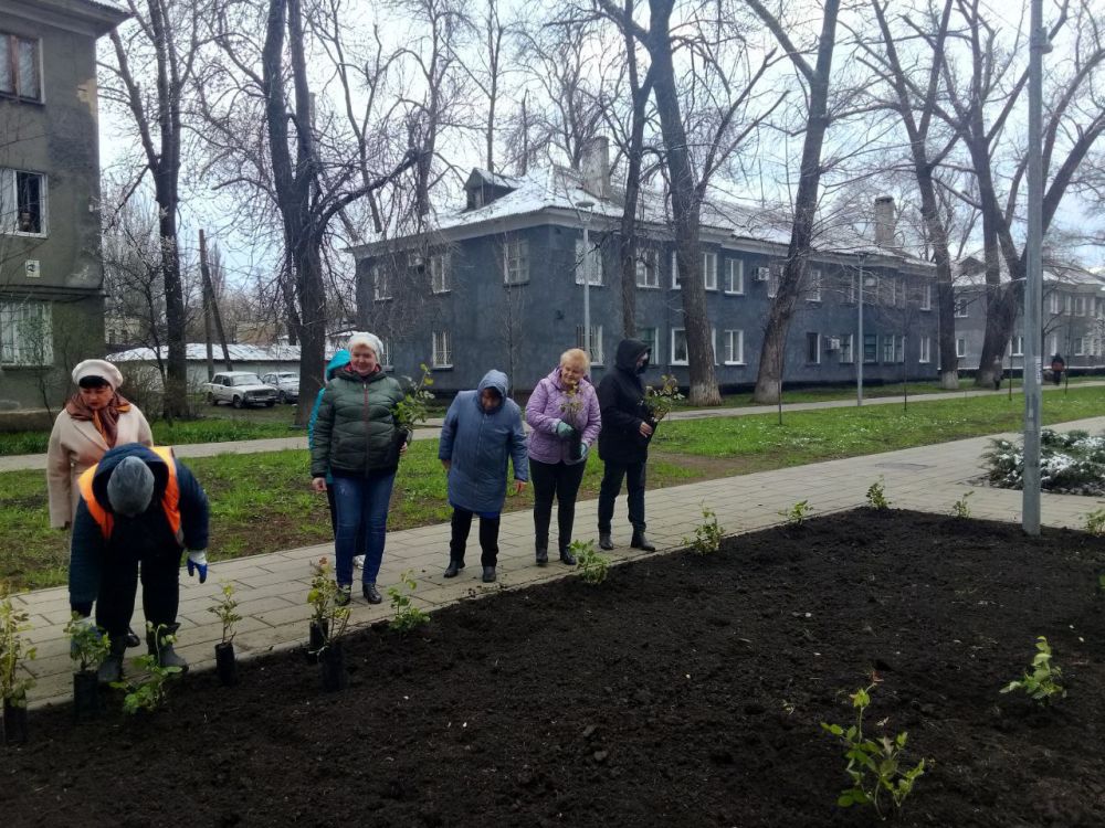 Виктория Жукова: В рамках партийного проекта Единой России "Городская среда" на территории городского округа Харцызск, возле мемориала Вечный огонь на Аллее славы высажено более 150 саженцев роз Виктория Жукова: В рамках партийного проекта Единой России "Городская среда" на территории городского округа Харцызск, возле мемориала Вечный огонь на Аллее славы высажено более 150 саженцев роз