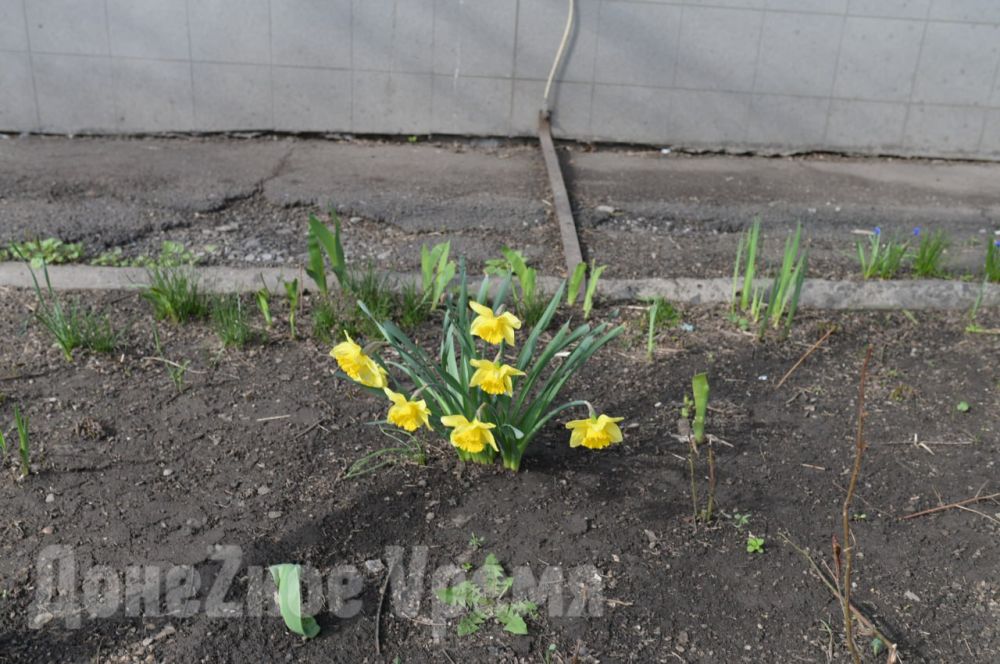 Звенел апрель капелью звонкой, цвели деревья и цветы: еще вчера была весна Звенел апрель капелью звонкой, цвели деревья и цветы: еще вчера была весна
