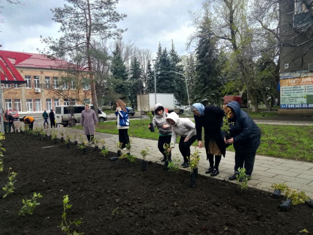 Виктория Жукова: В рамках партийного проекта Единой России "Городская среда" на территории городского округа Харцызск, возле мемориала Вечный огонь на Аллее славы высажено более 150 саженцев роз Виктория Жукова: В рамках партийного проекта Единой России "Городская среда" на территории городского округа Харцызск, возле мемориала Вечный огонь на Аллее славы высажено более 150 саженцев роз