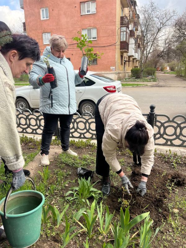 Виктория Жукова: В рамках партийного проекта Единой России "Городская среда" на территории городского округа Харцызск в городе Зугрэсе сегодня высадили кусты роз Виктория Жукова: В рамках партийного проекта Единой России "Городская среда" на территории городского округа Харцызск в городе Зугрэсе сегодня высадили кусты роз