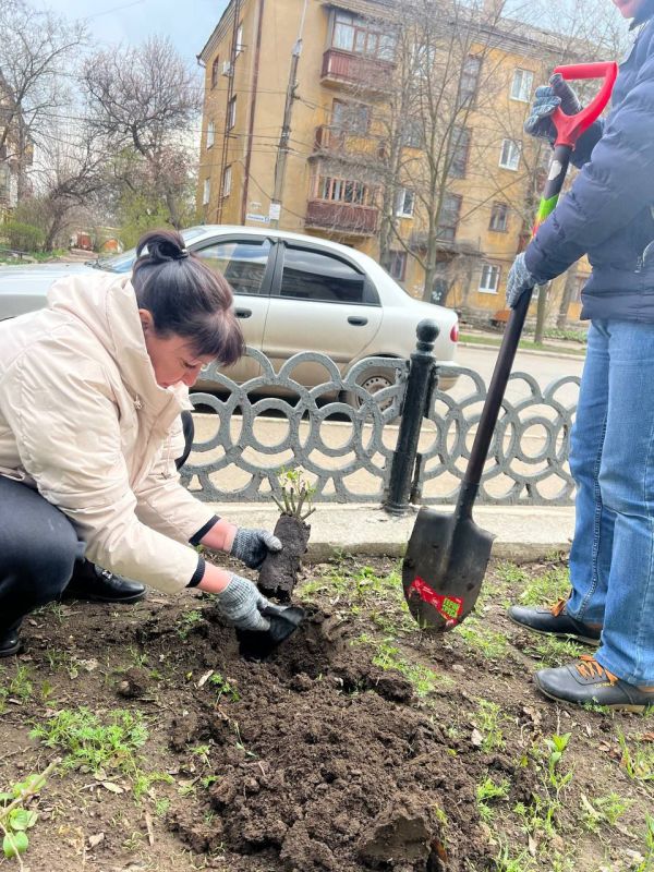Виктория Жукова: В рамках партийного проекта Единой России "Городская среда" на территории городского округа Харцызск в городе Зугрэсе сегодня высадили кусты роз Виктория Жукова: В рамках партийного проекта Единой России "Городская среда" на территории городского округа Харцызск в городе Зугрэсе сегодня высадили кусты роз
