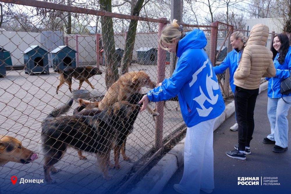 Любовь, уход, надежда: единороссы побывали в приюте «ПИФ» Любовь, уход, надежда: единороссы побывали в приюте «ПИФ»