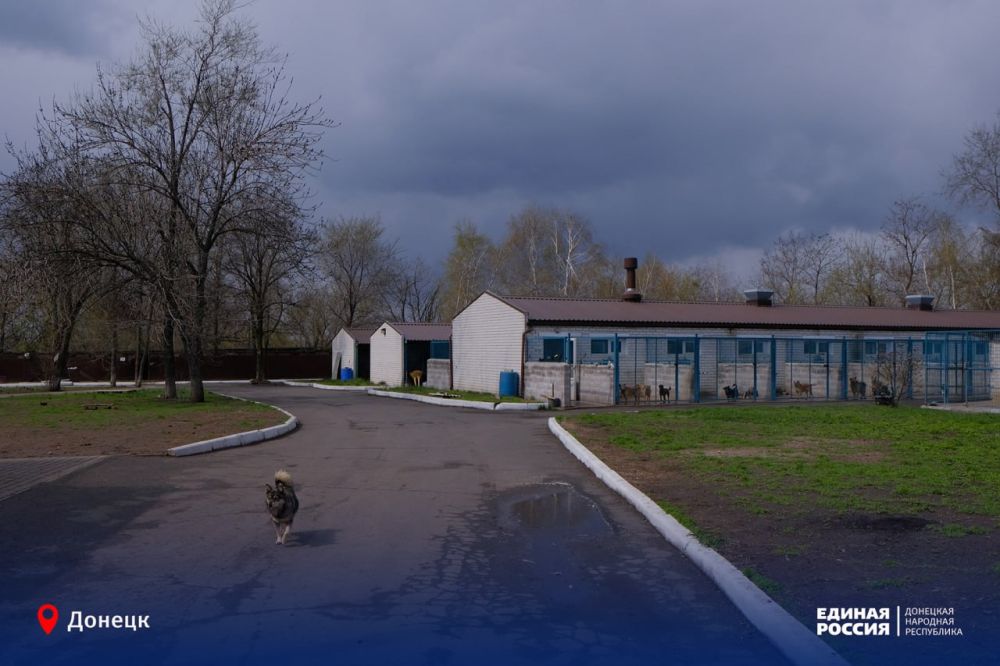 Любовь, уход, надежда: единороссы побывали в приюте «ПИФ» Любовь, уход, надежда: единороссы побывали в приюте «ПИФ»