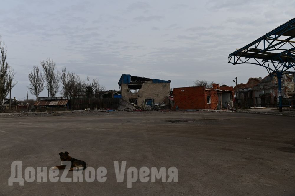 “Жители уставшие. Псы очень добродушные”: какой увидела АС “Трудовская” наш фотокорреспондент “Жители уставшие. Псы очень добродушные”: какой увидела АС “Трудовская” наш фотокорреспондент